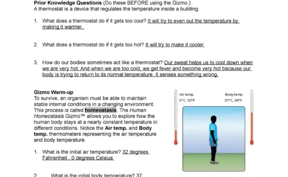 What Does a Thermostat Do When It Gets Too Cool