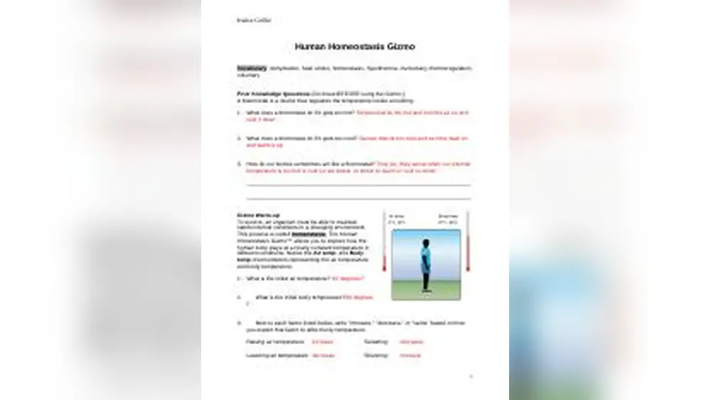 What Does a Thermostat Do If It Gets Too Cool